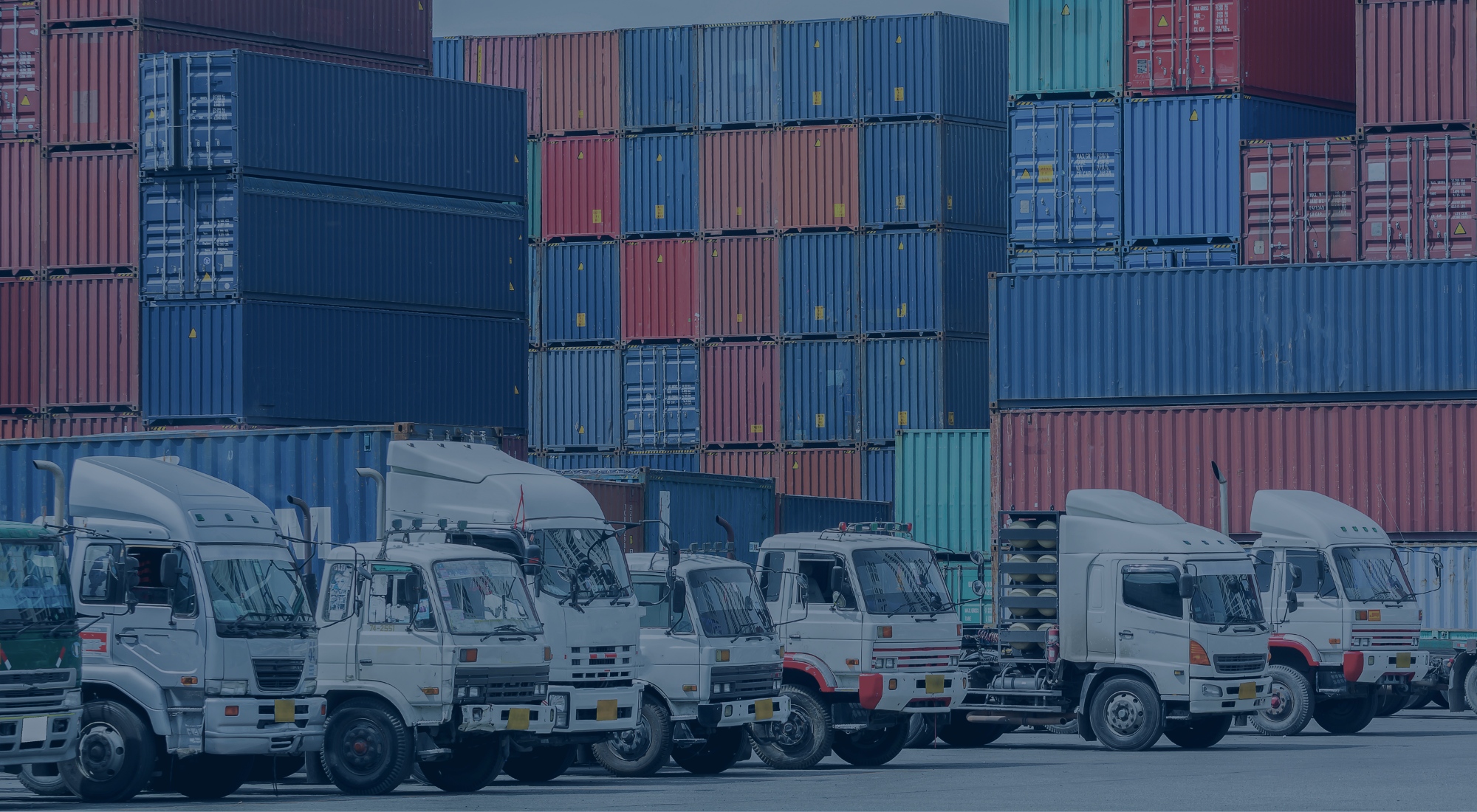  How Efficient Logistics Drives Business Growth