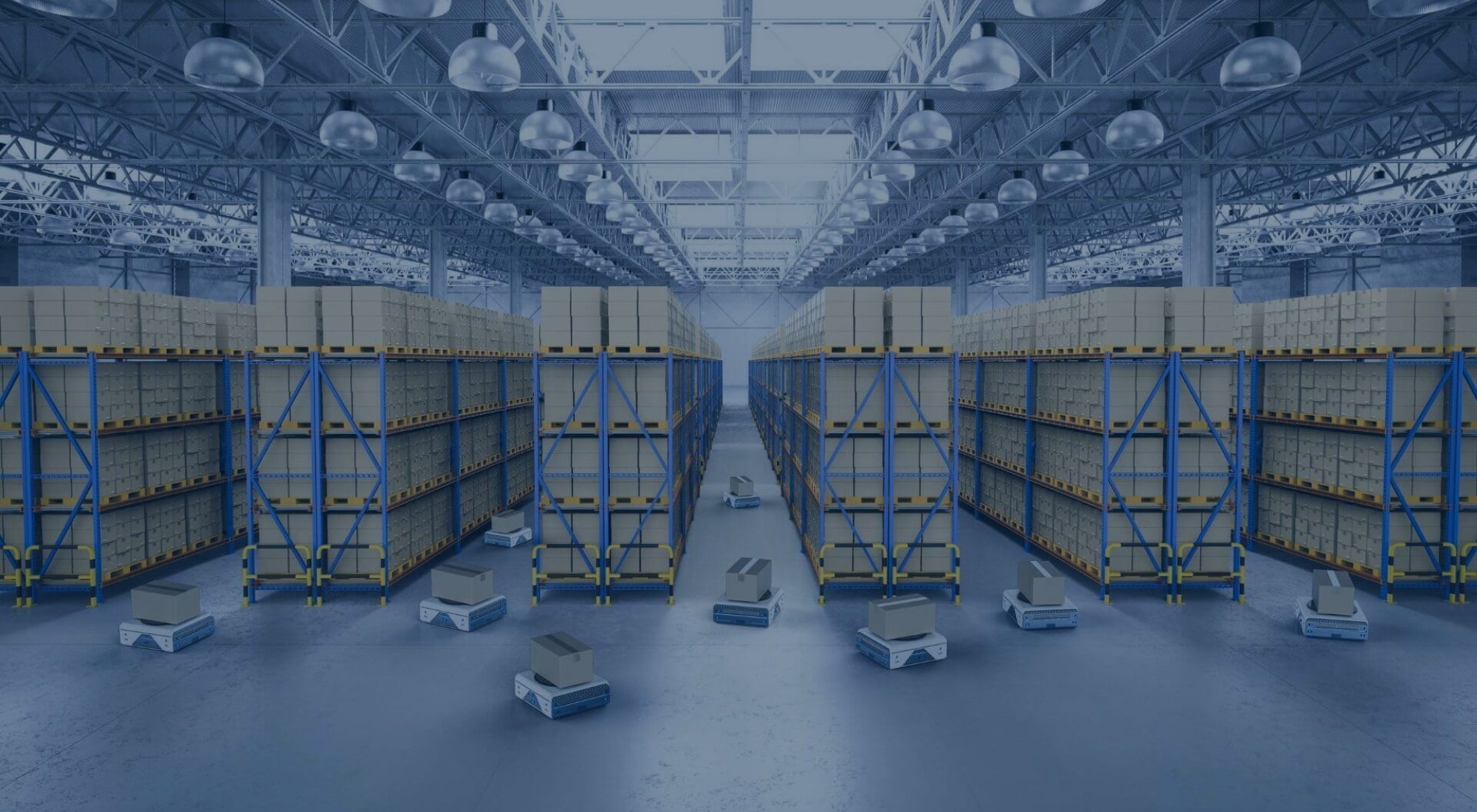 The Future of Warehousing: Trends and Innovations